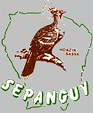 sepanguy